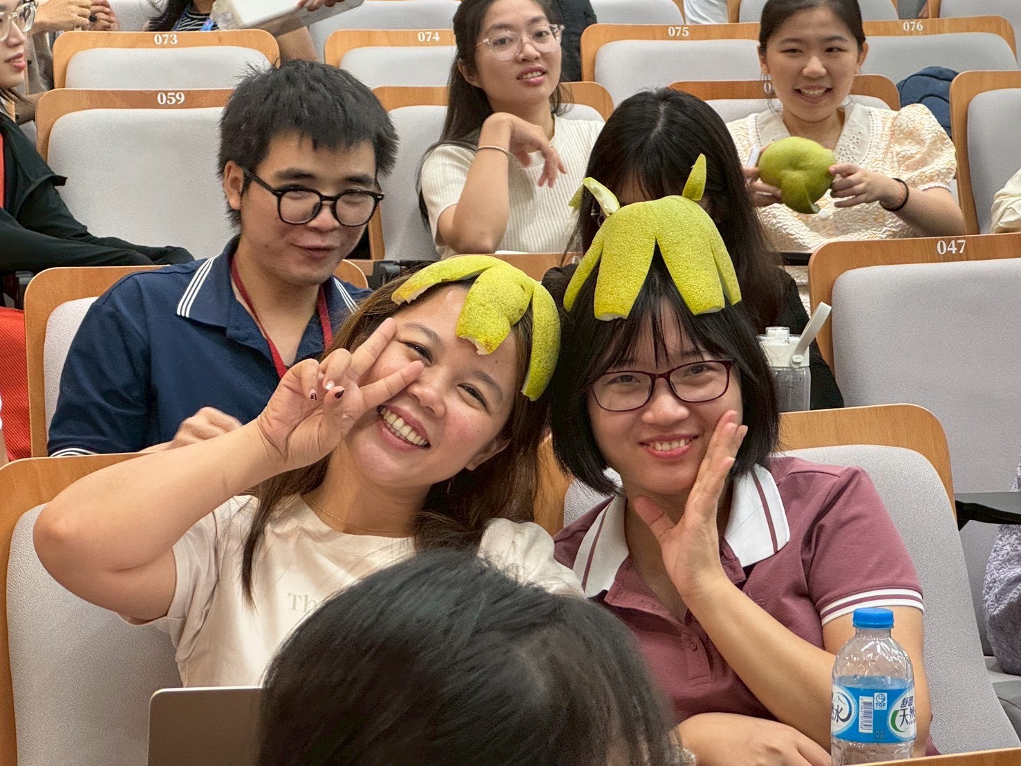 這是一張圖片