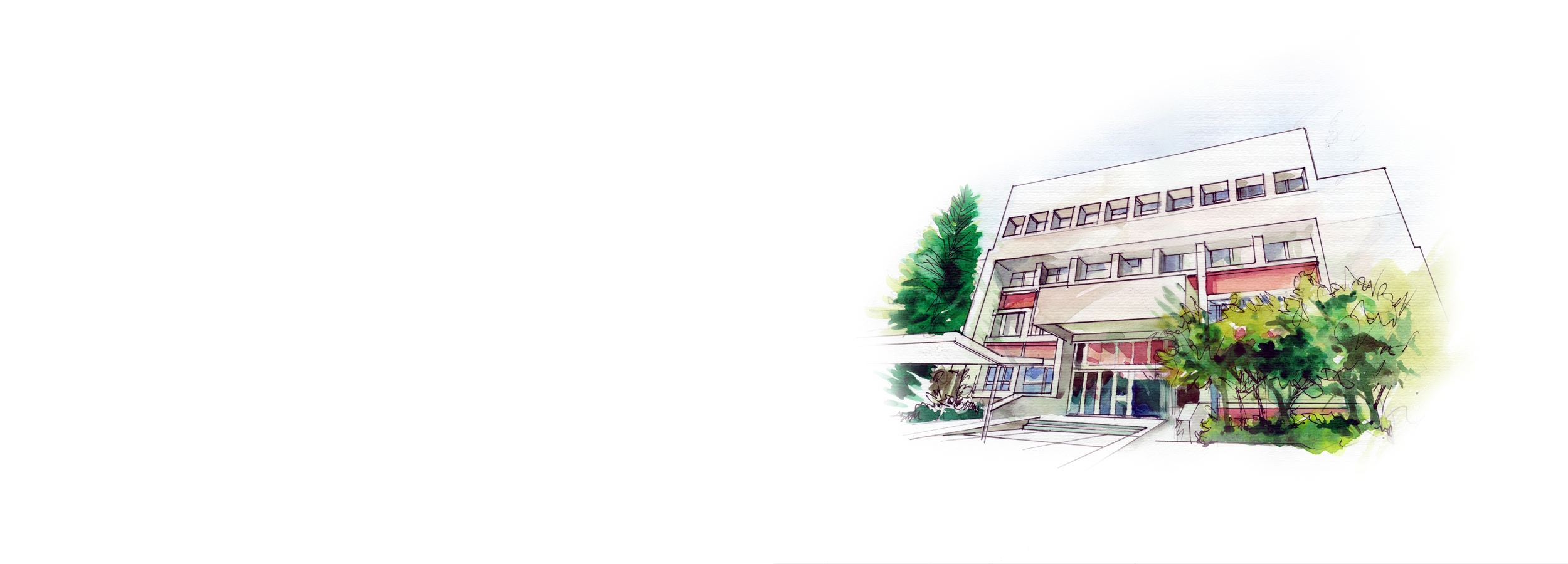 Your Journey at TMU Starts with Mandarin.